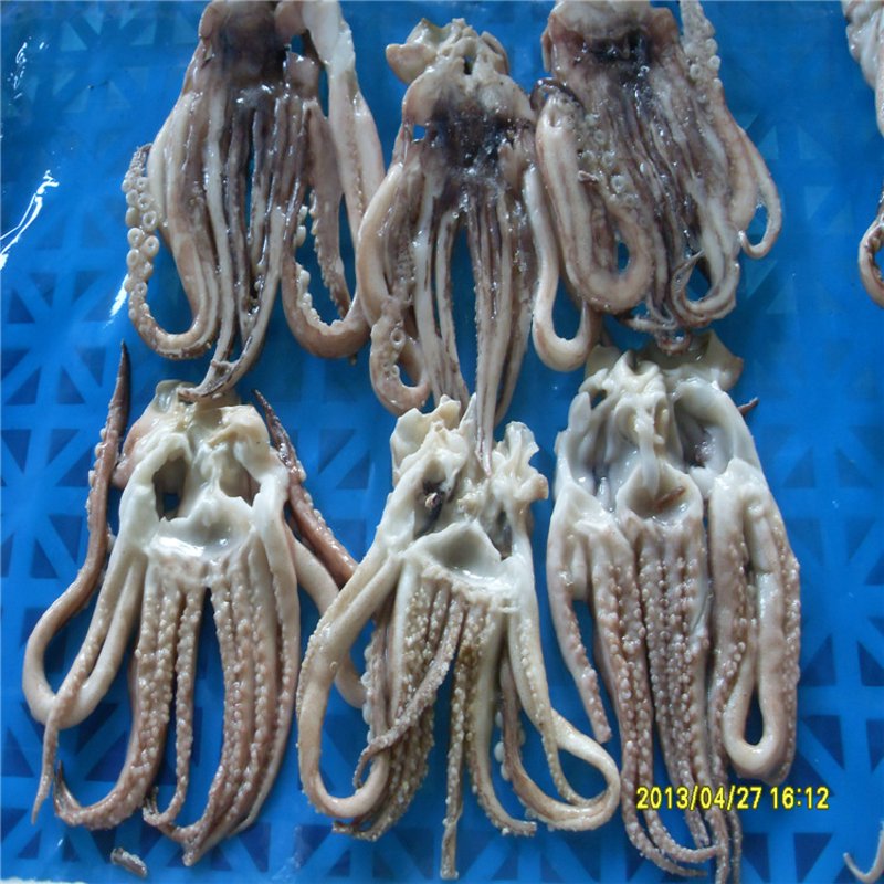 海产品批发选购攻略：一网打尽海鲜市场