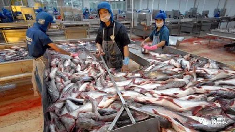 海产品批发行业现状与趋势